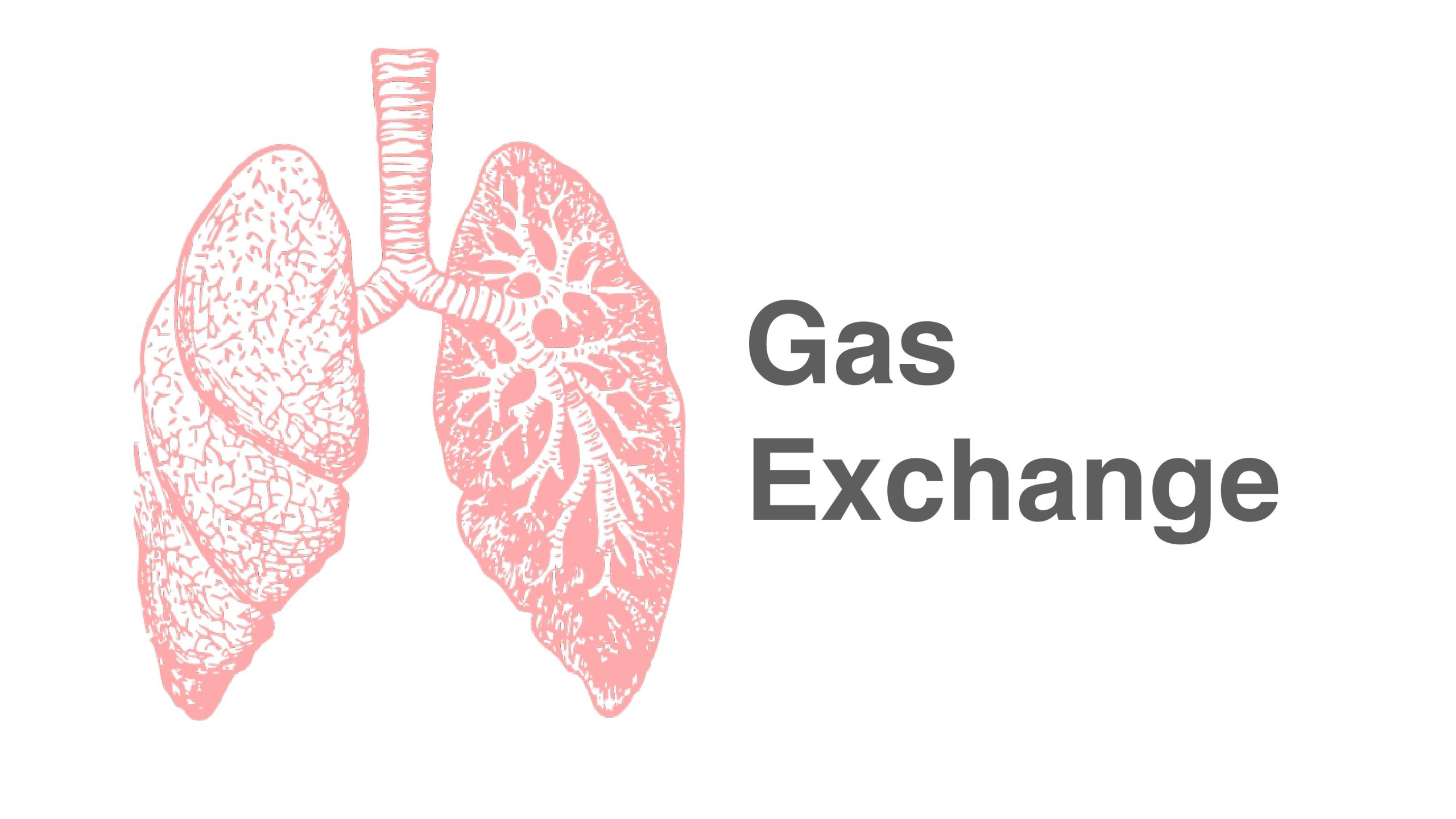 5. Gas Exchange