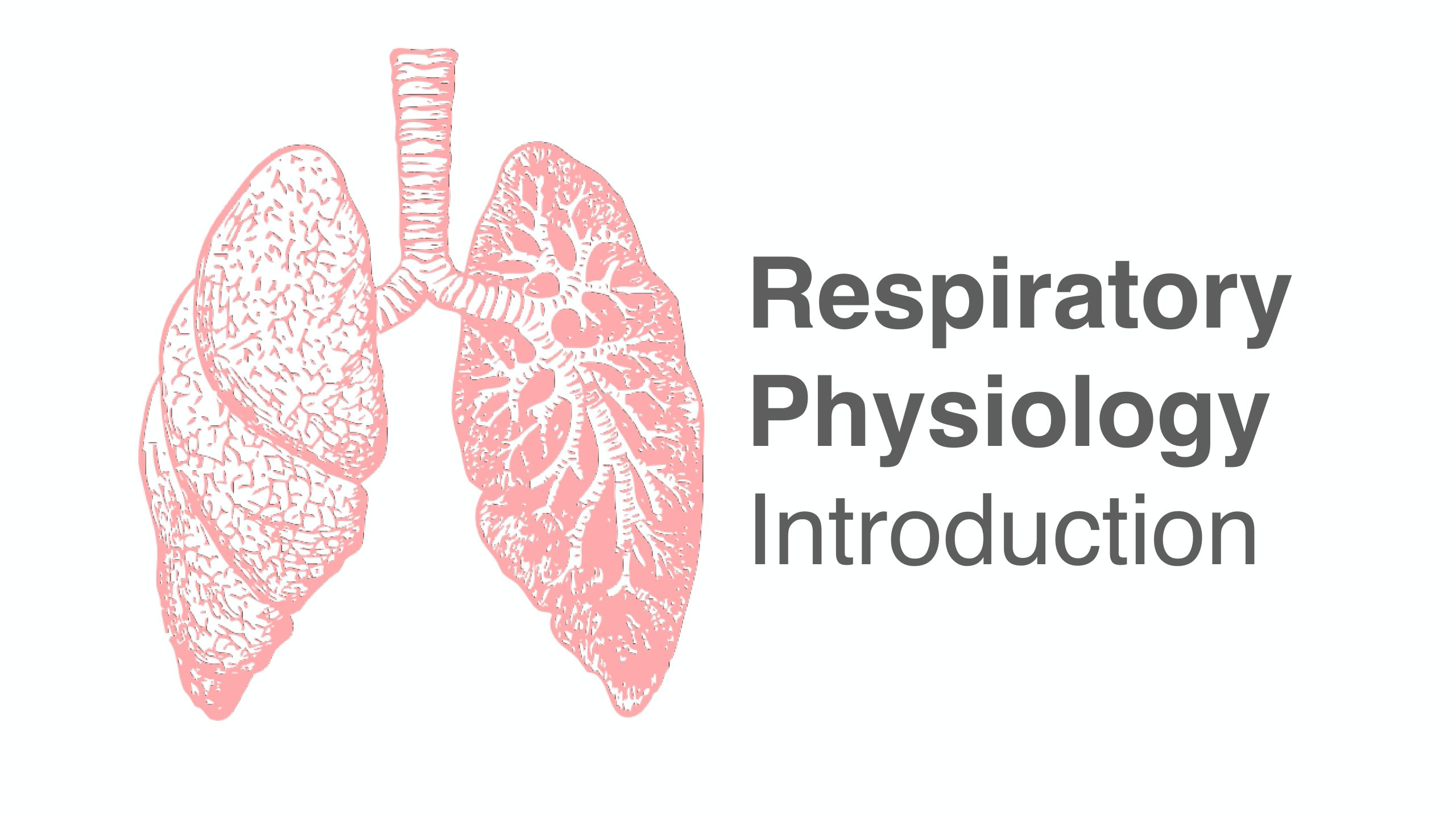 1. Respiratory Physiology Introduction