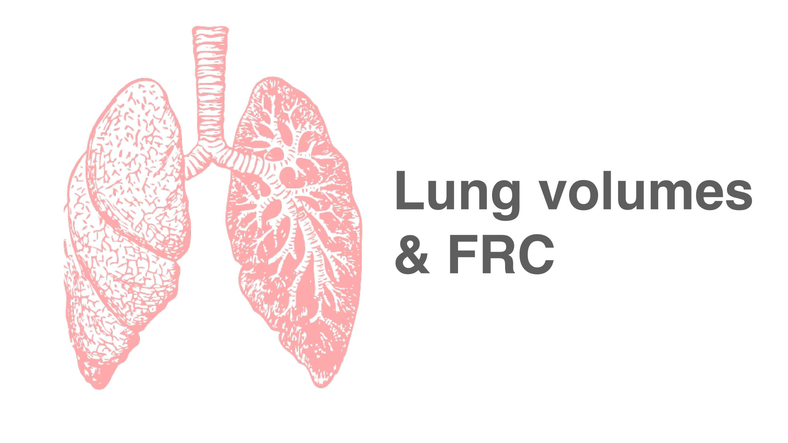 3. Lung Volumes and FRC
